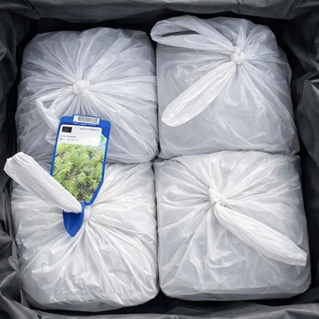 Vijverplanten pakket