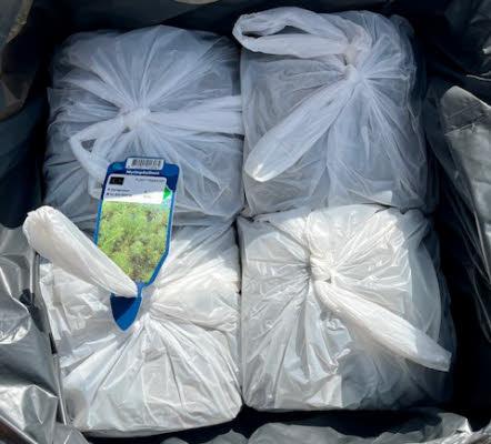 Zuurstofplanten Schonevijver