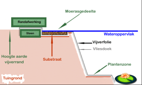 Afwereking vijverrand met moerasplanten
