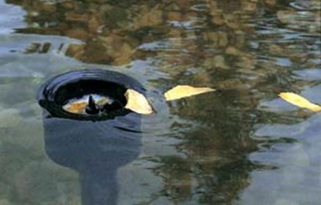 Staande skimmer