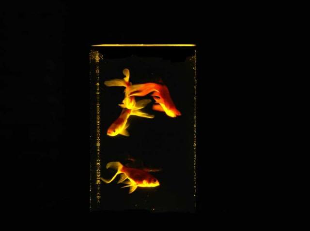 aquatower_verlichting