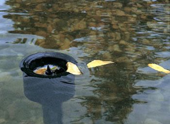 Oppervlakteskimmer