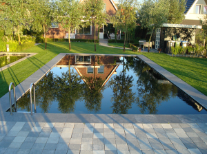 Nuttige bacterien voor de zwemvijver