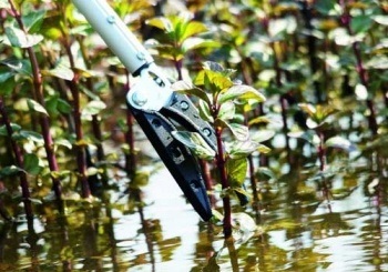 vijverproducten overig