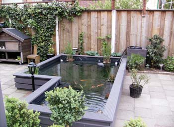 Koivijvers voorbeelden