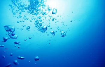 Zuurstofgebrek bij vijvervissen